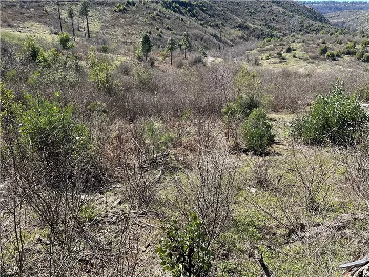 Property Photo:  1234 Hog Ranch Rd  CA 95965 