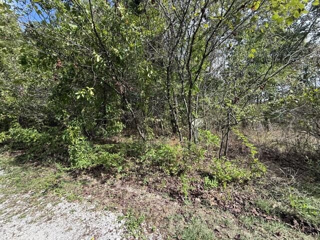 Property Photo:  0 Walnut Circle  MO 65650 