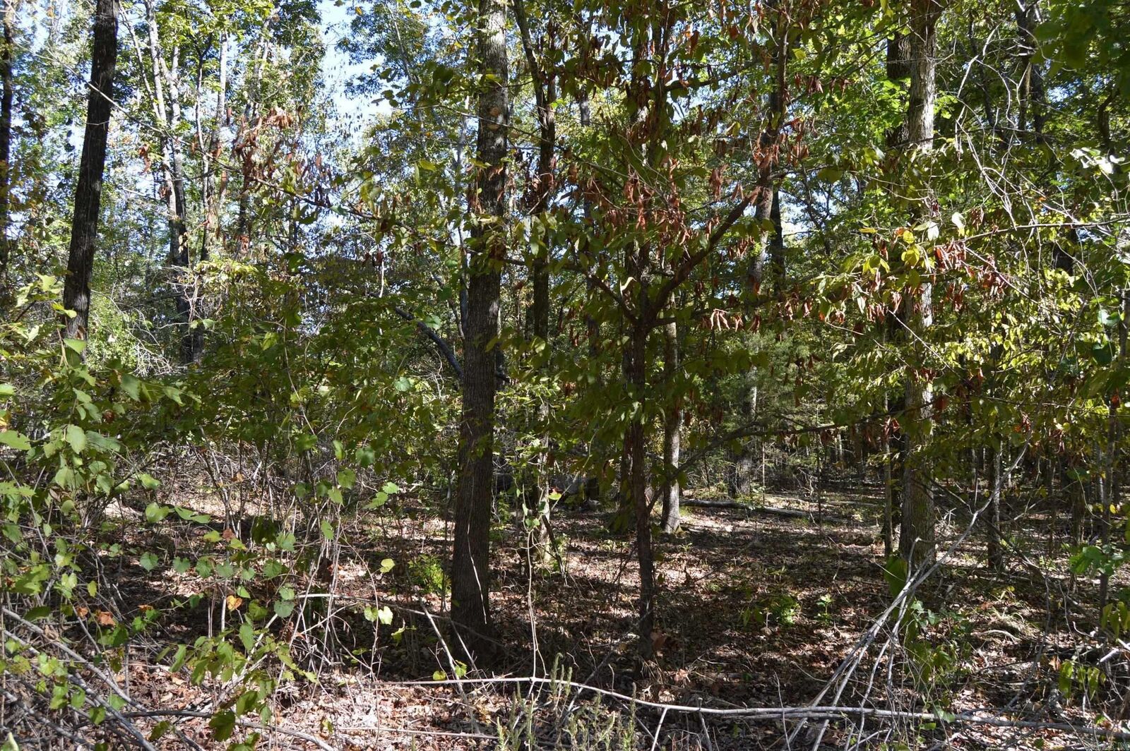 Property Photo:  00 Kelley  AR 72002 