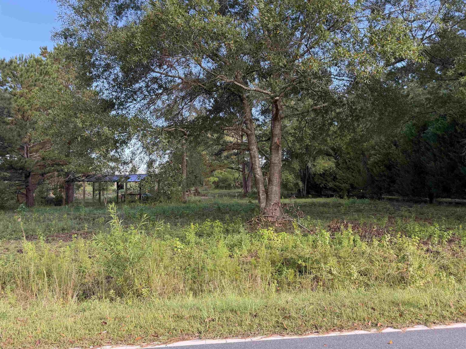 Property Photo:  Tract 3 Wise Rd.  SC 29526 