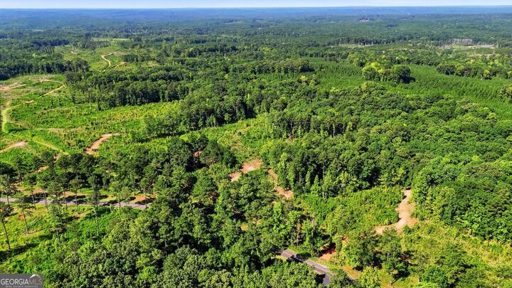 Property Photo: 150+/- Acres Giles Road GA 31029