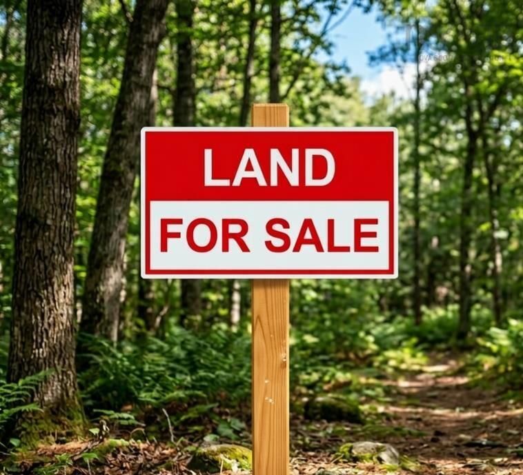 Property Photo:  Lot Highway 10  NS B0S 1P0 