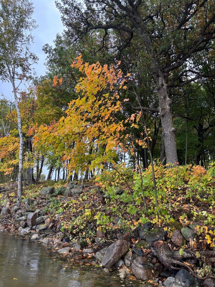 Property Photo: Lot 7 Blk 1 Serenity Lane SW MN 56308