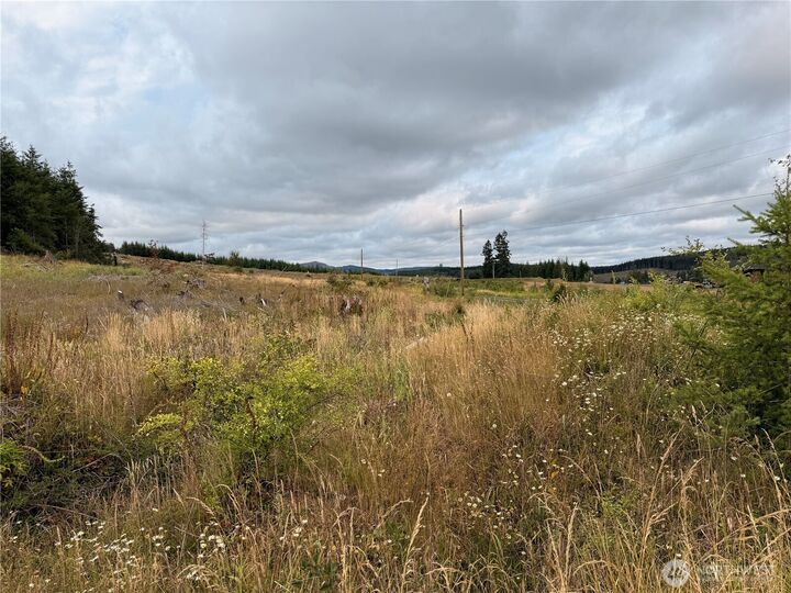 Property Photo: 19 Xx Bunker Creek Road WA 98532