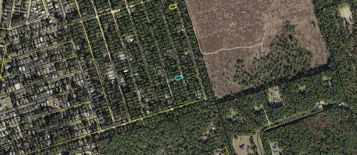 Property Photo:  Lot 60 Chicopee Road  FL 32327 