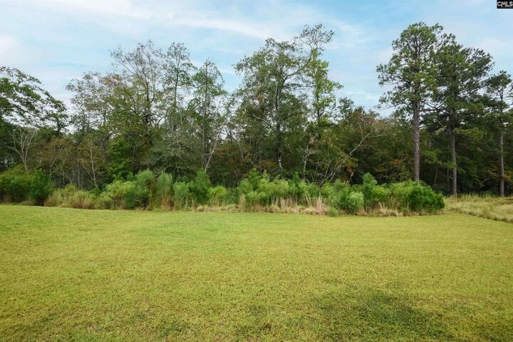 Property Photo: 410 Pepperbush SC 29072