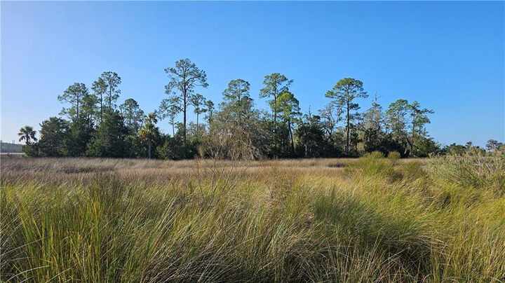 Property Photo: 304 Burford Road GA 31523