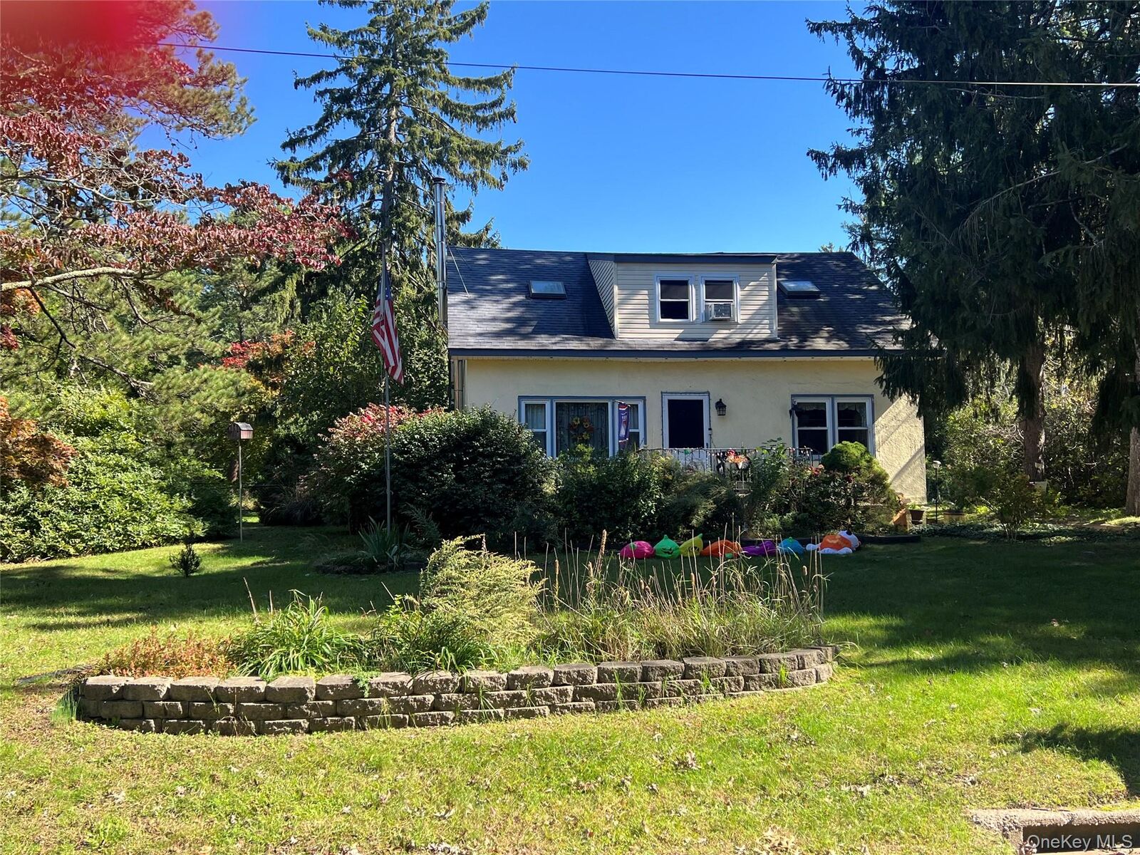 Property Photo:  207 Mount Vernon Avenue  NY 11763 