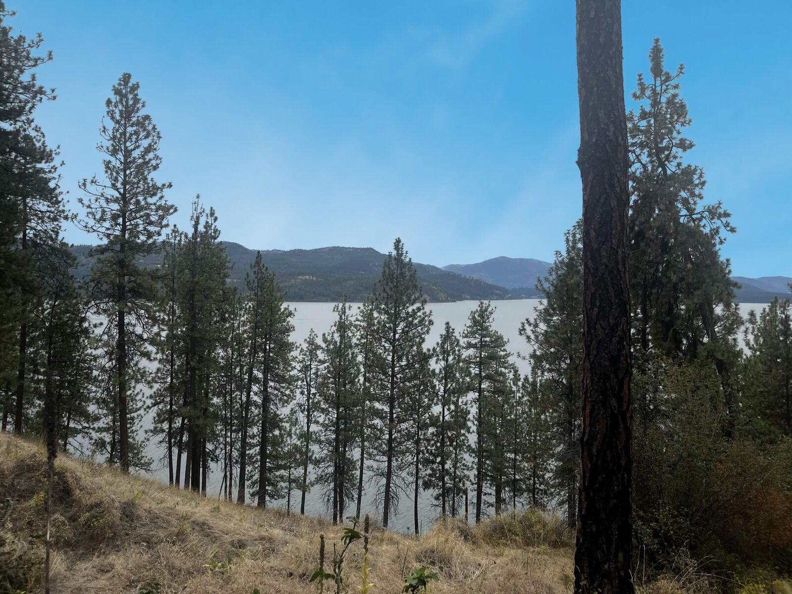 Property Photo:  1708 Northport Flat Creek Rd  WA 99141 