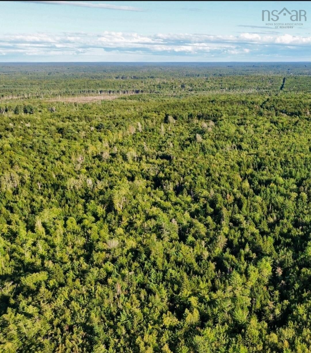 Property Photo:  Lot Gilberts Cove Road  NS B0W 2R0 