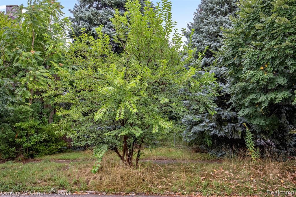 Property Photo:  411 King Street  MI 48202 