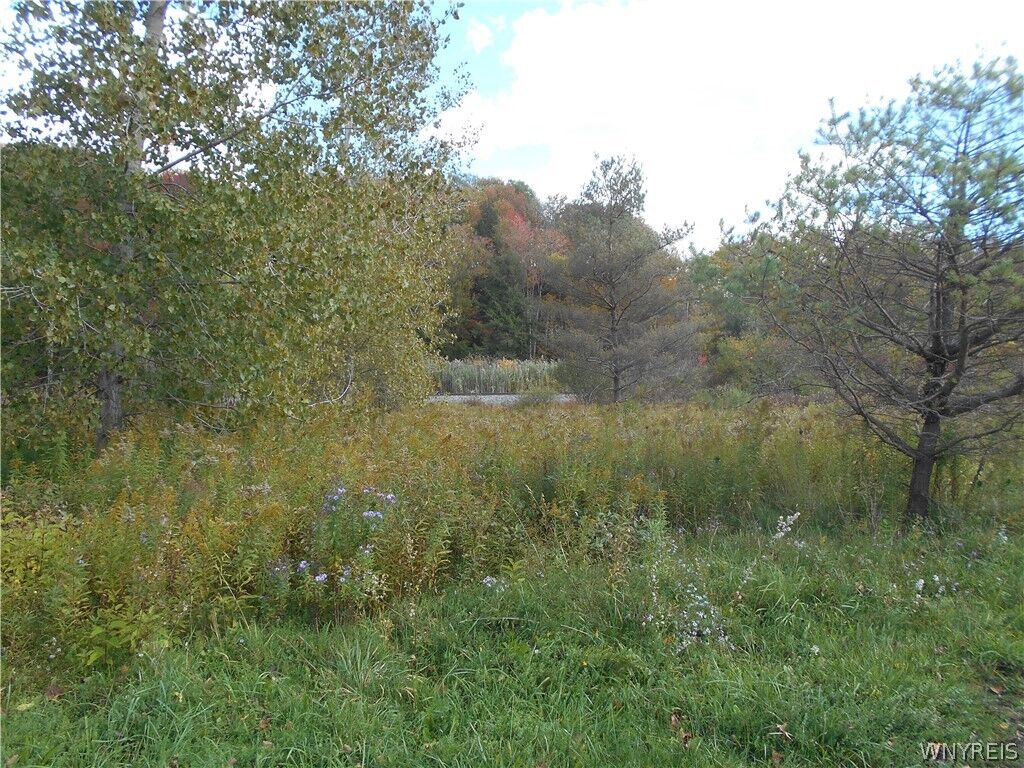 Property Photo:  10628 Route 16  NY 14042 