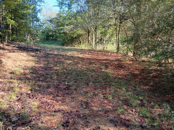 Property Photo:  780 Maple Grove Church Road  GA 30705 