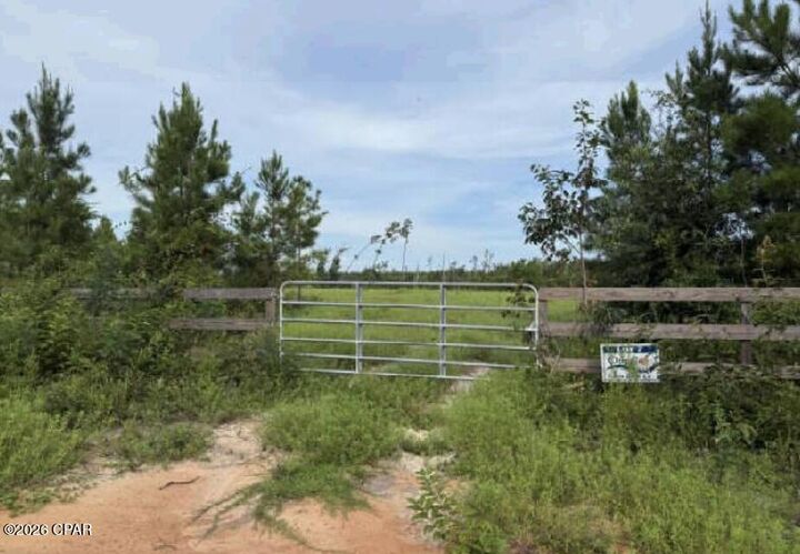 Property Photo: 12158 SE Oak Grove Road FL 32449