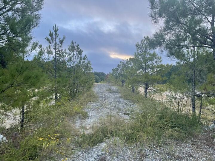 Property Photo:  6007 Gleneden Drive  GA 31907 