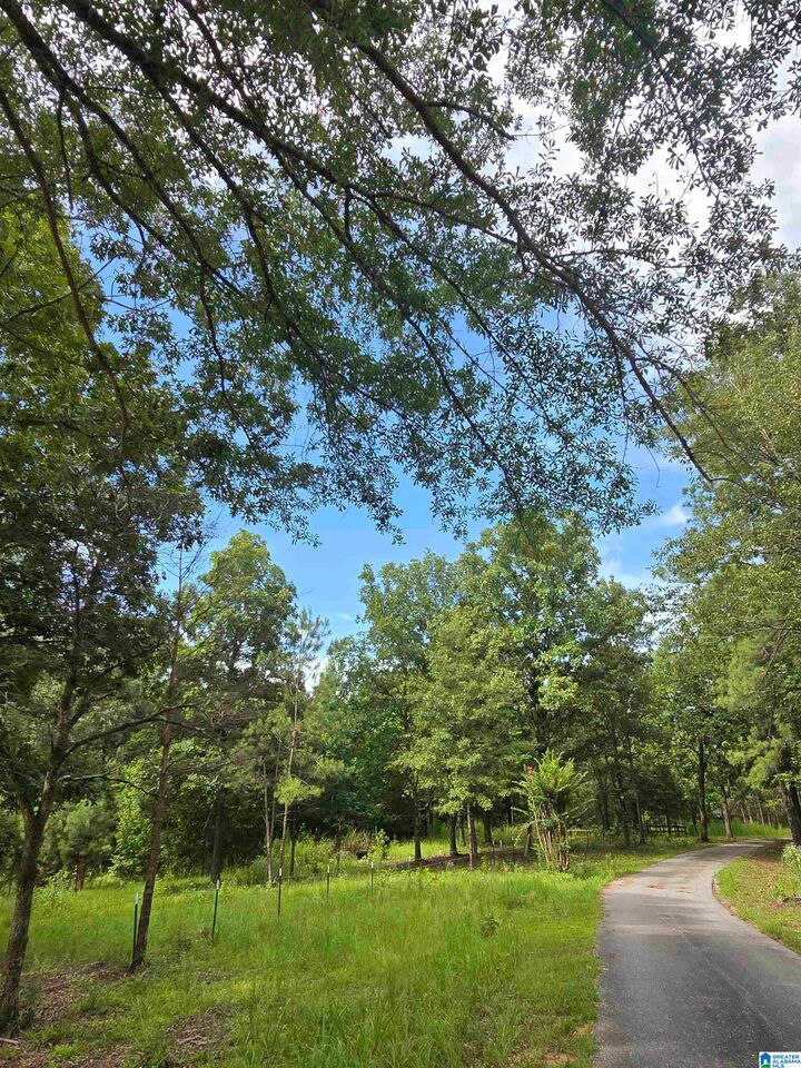 Property Photo: 0 County Road 73 1 AL 35115
