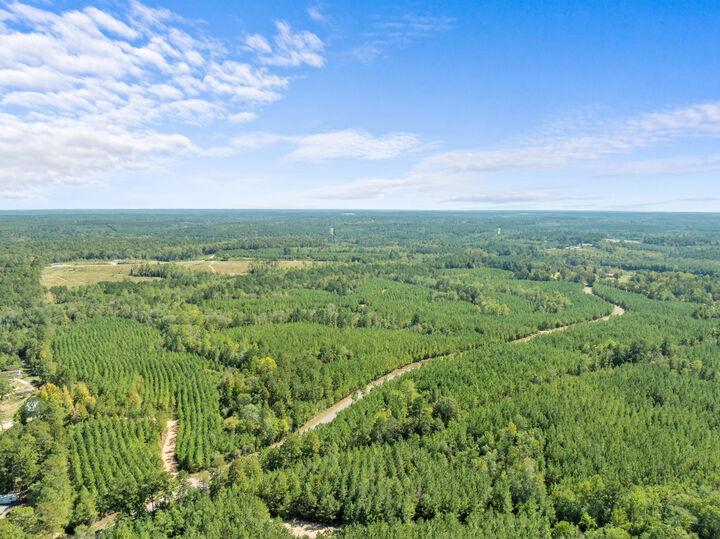 Property Photo:  Parcel B Beat 4 Shubuta  MS 39360 