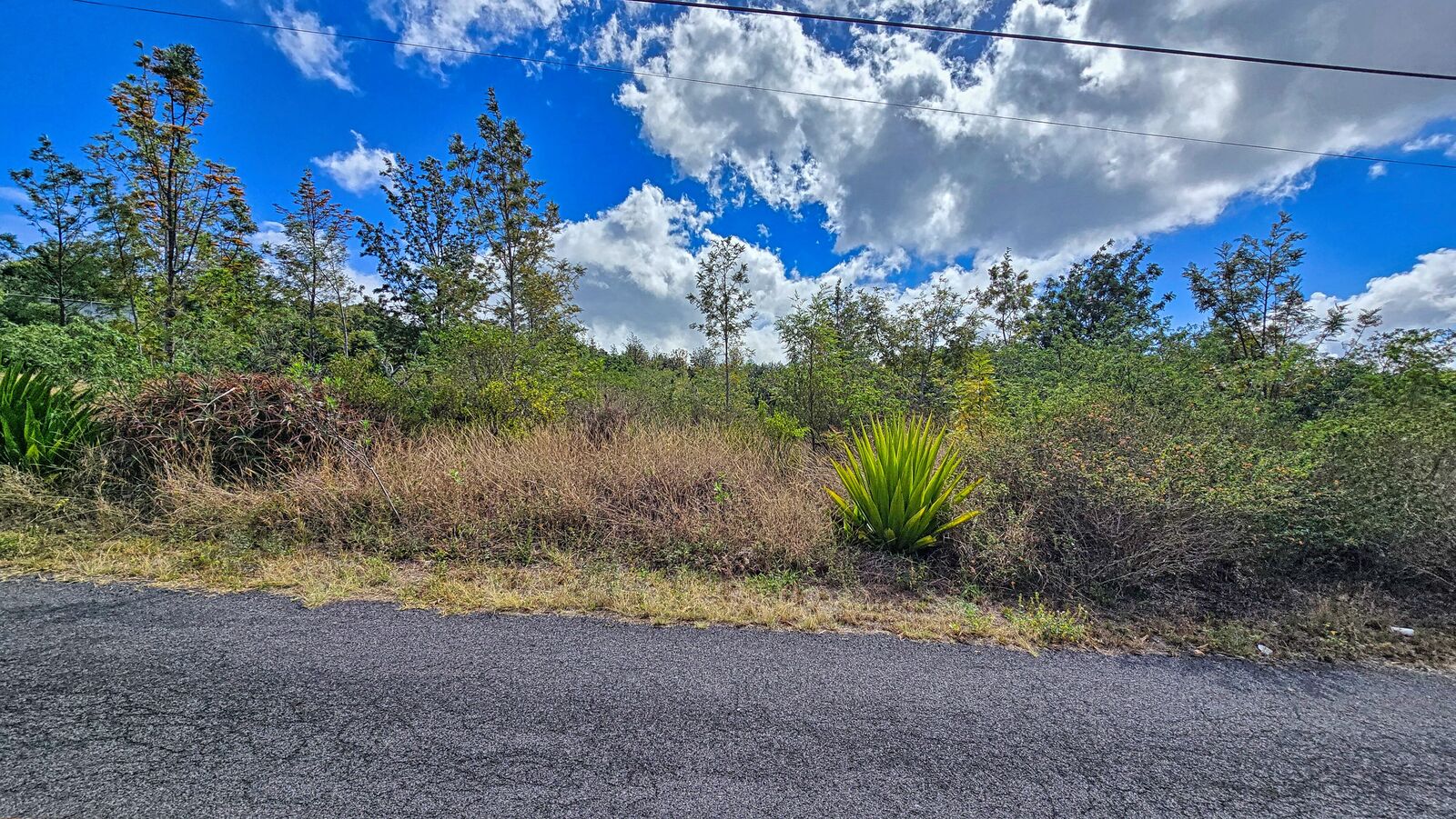 Property Photo: Bamboo Ln HI 96737