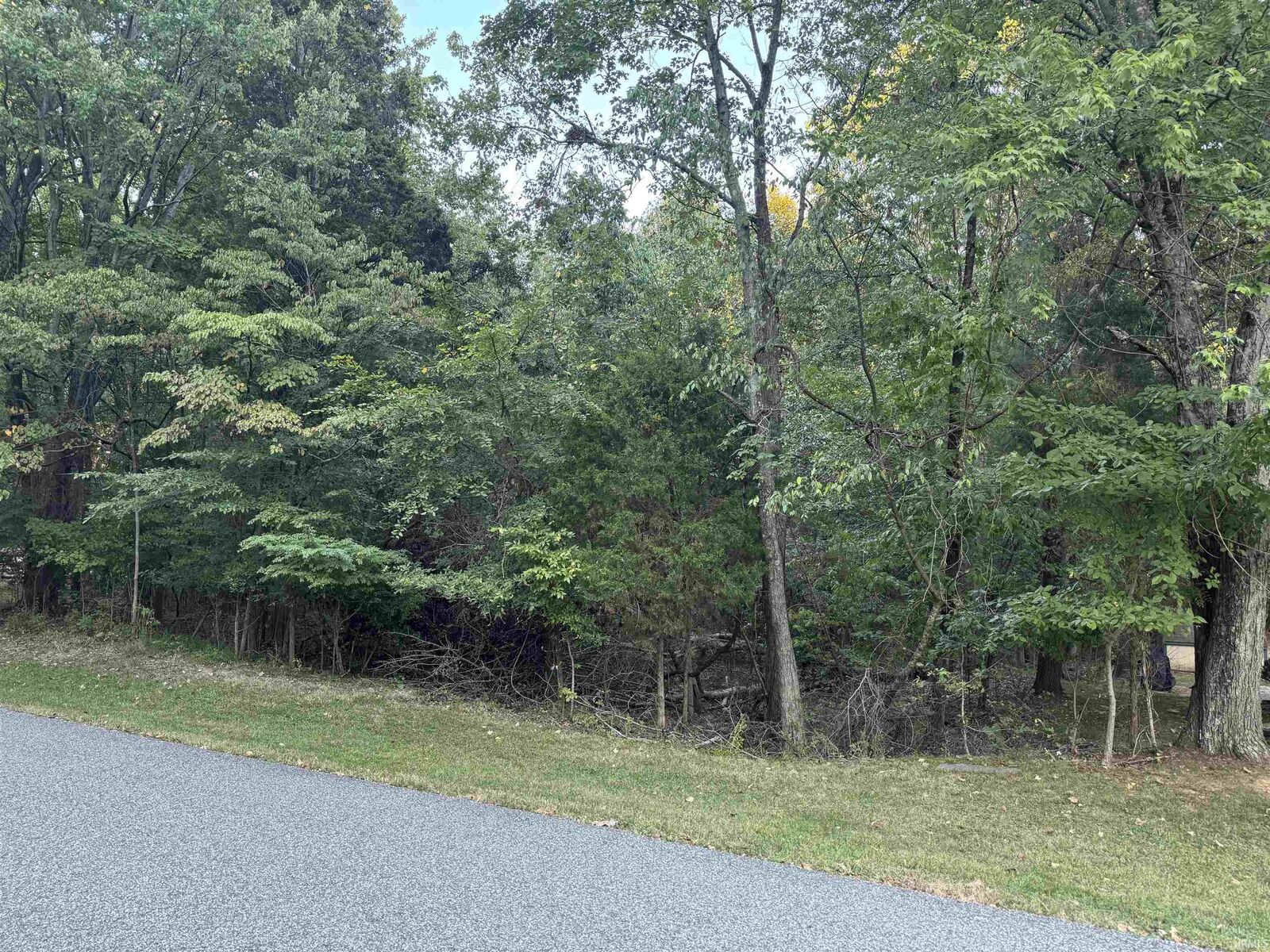 Property Photo:  Sled Run Run  IN 47579 