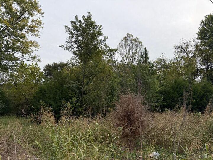 Property Photo:  0 Moneta Road  VA 24121 
