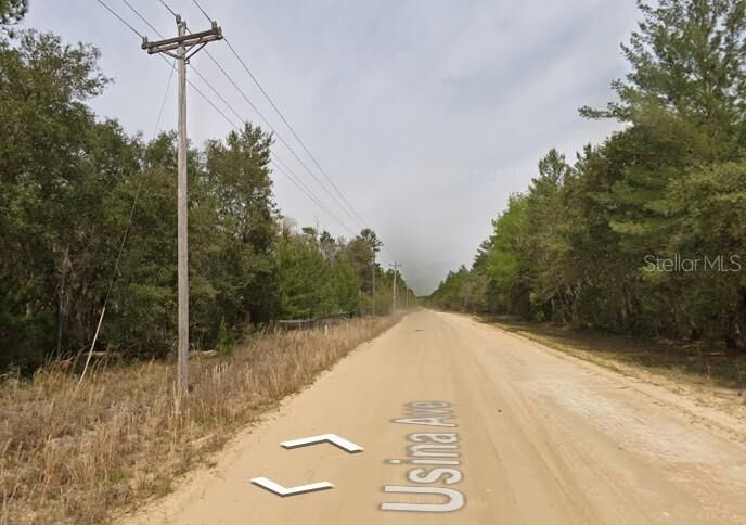 Property Photo:  Usina Ave  FL 32148 