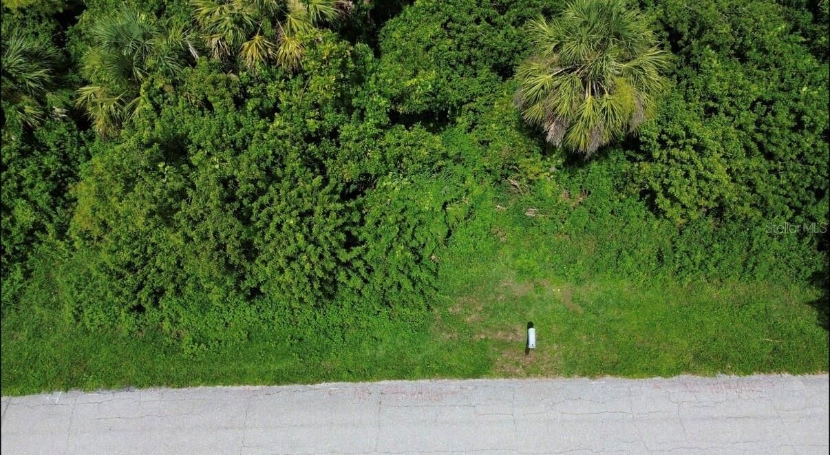 Property Photo:  4099 Dotham Street  FL 33948 