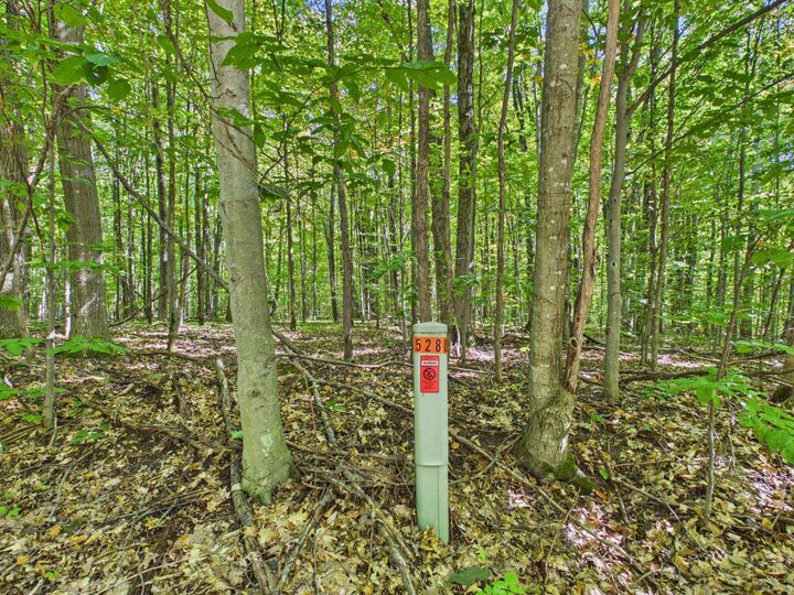 Property Photo:  0 Edelweiss Drive  MI 49615 