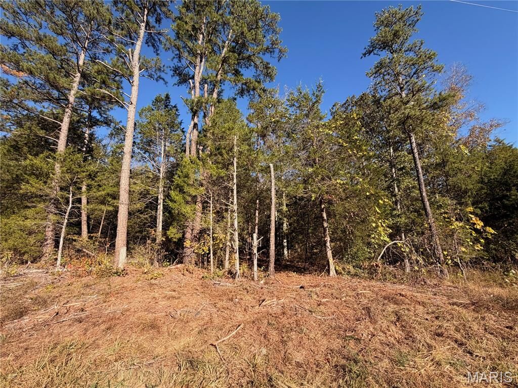 Property Photo:  Lot A Highway 32  MO 63640 