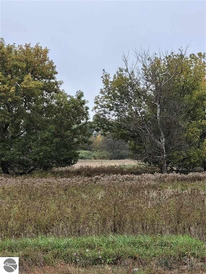 Property Photo:  00 W Broomfield Road  MI 48858 