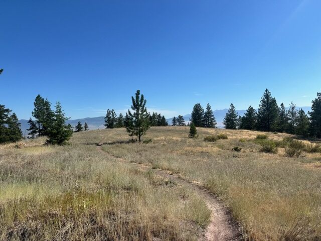 Property Photo:  Parcel 2A Dry Gulch Road  MT 59804 