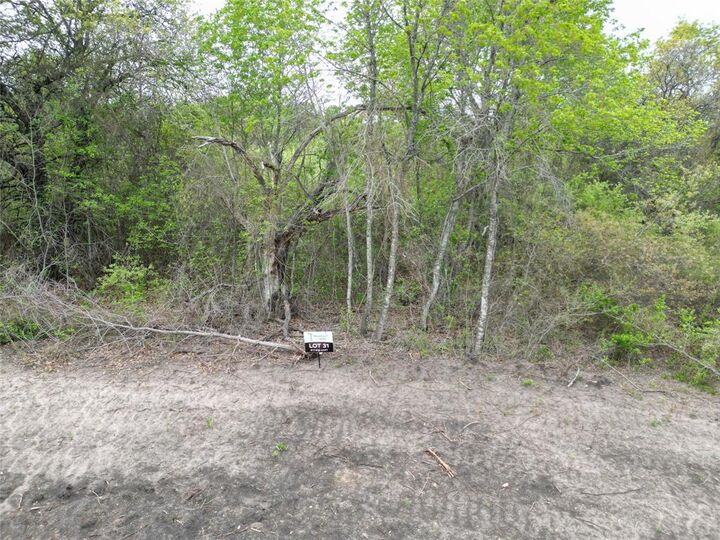 Property Photo:  197 Fan Mill Trail  TX 76085 