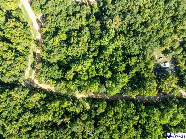 Property Photo:  0000 Jeffrey St. Lot 79  SC 29520 
