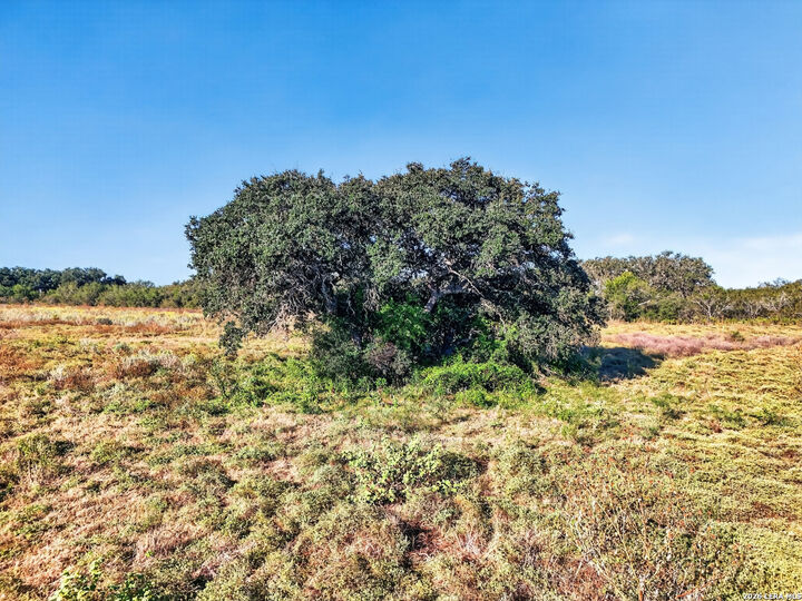 Property Photo:  Lot 134 Fm 1796  TX 78850 