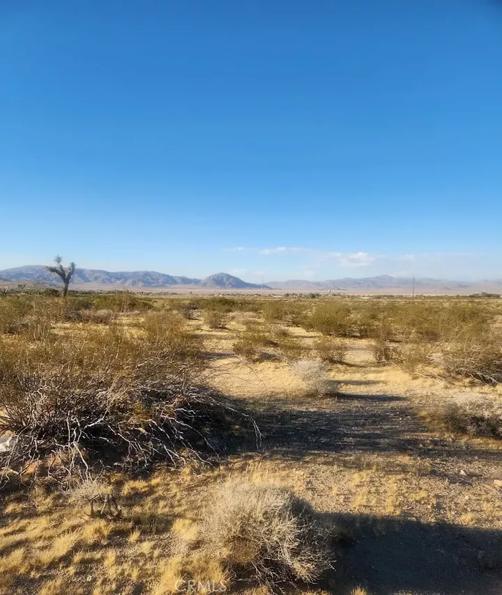 Property Photo: 0 Crystal Creek CA 92356