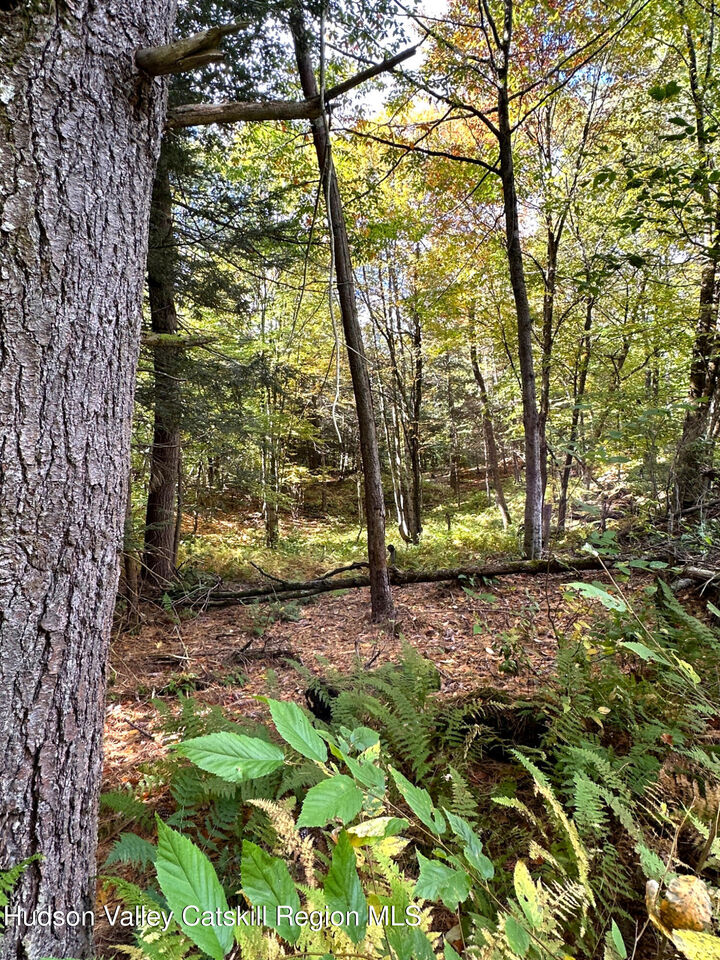 Property Photo:  0 Moore Hill Lot 3  NY 12169 