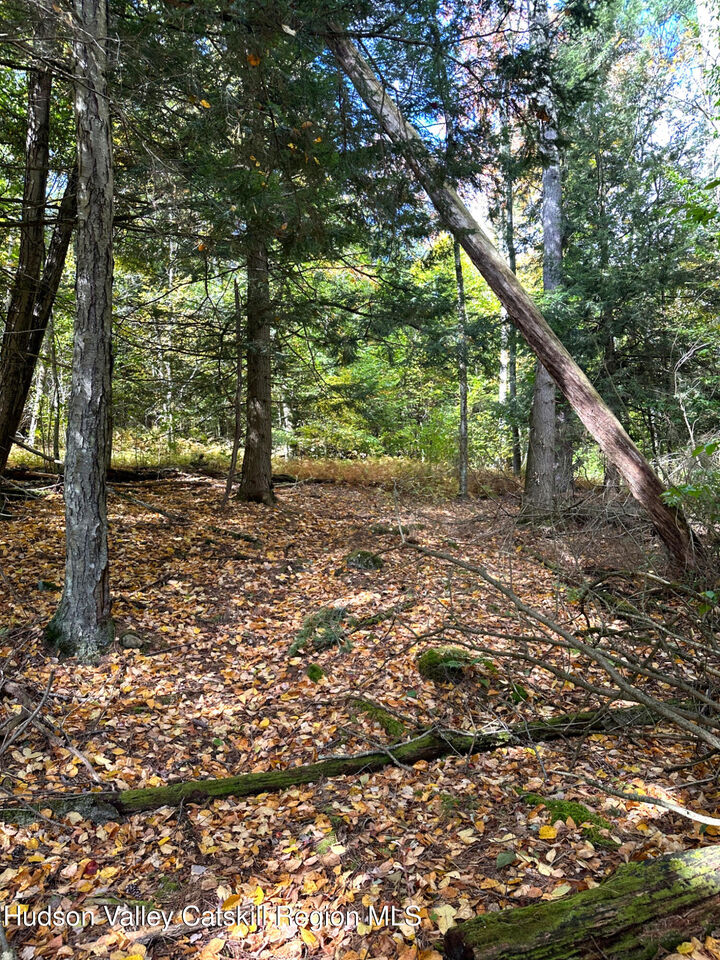 Property Photo:  0 Moore Hill Lot 1  NY 12169 