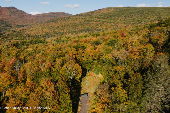 Property Photo:  Tbd Macdaniel Rd  NY 12409 
