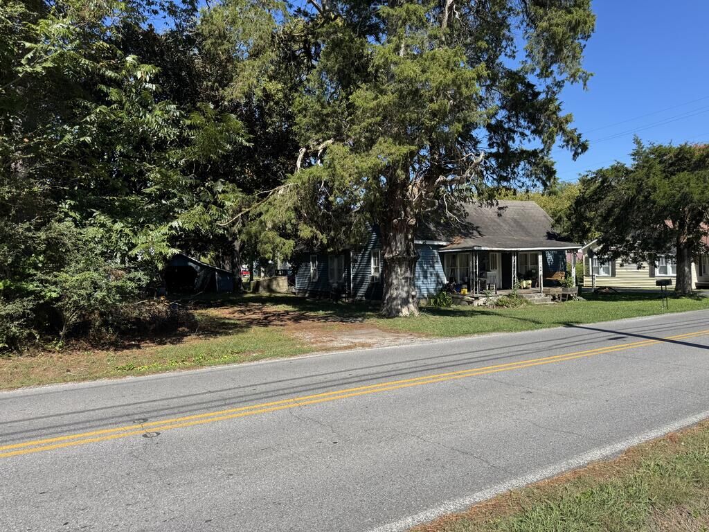 Property Photo:  309 Main Street  GA 30756 