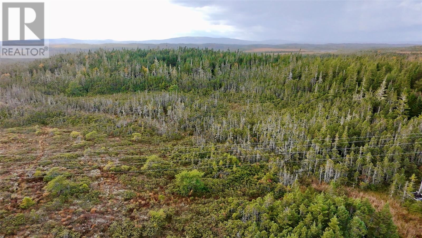 Property Photo:  141 Main Road  NL A0B 3K0 