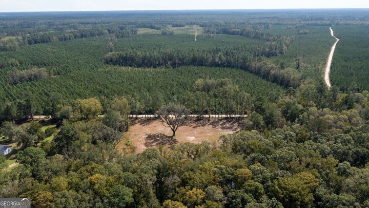 Property Photo: 2374 Colesburg Tompkins Road GA 31569