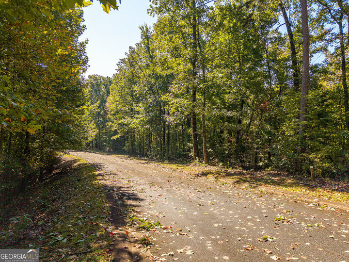 Property Photo:  Lot 22,23,0 Abbott Mill Road  GA 30540 