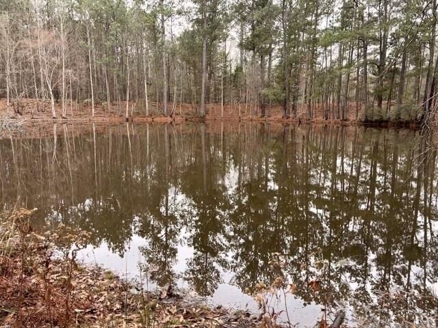 Property Photo: 17365 Fm 2089 TX 75684