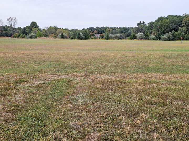 Property Photo:  0000 E Holland Drive  IL 62864 