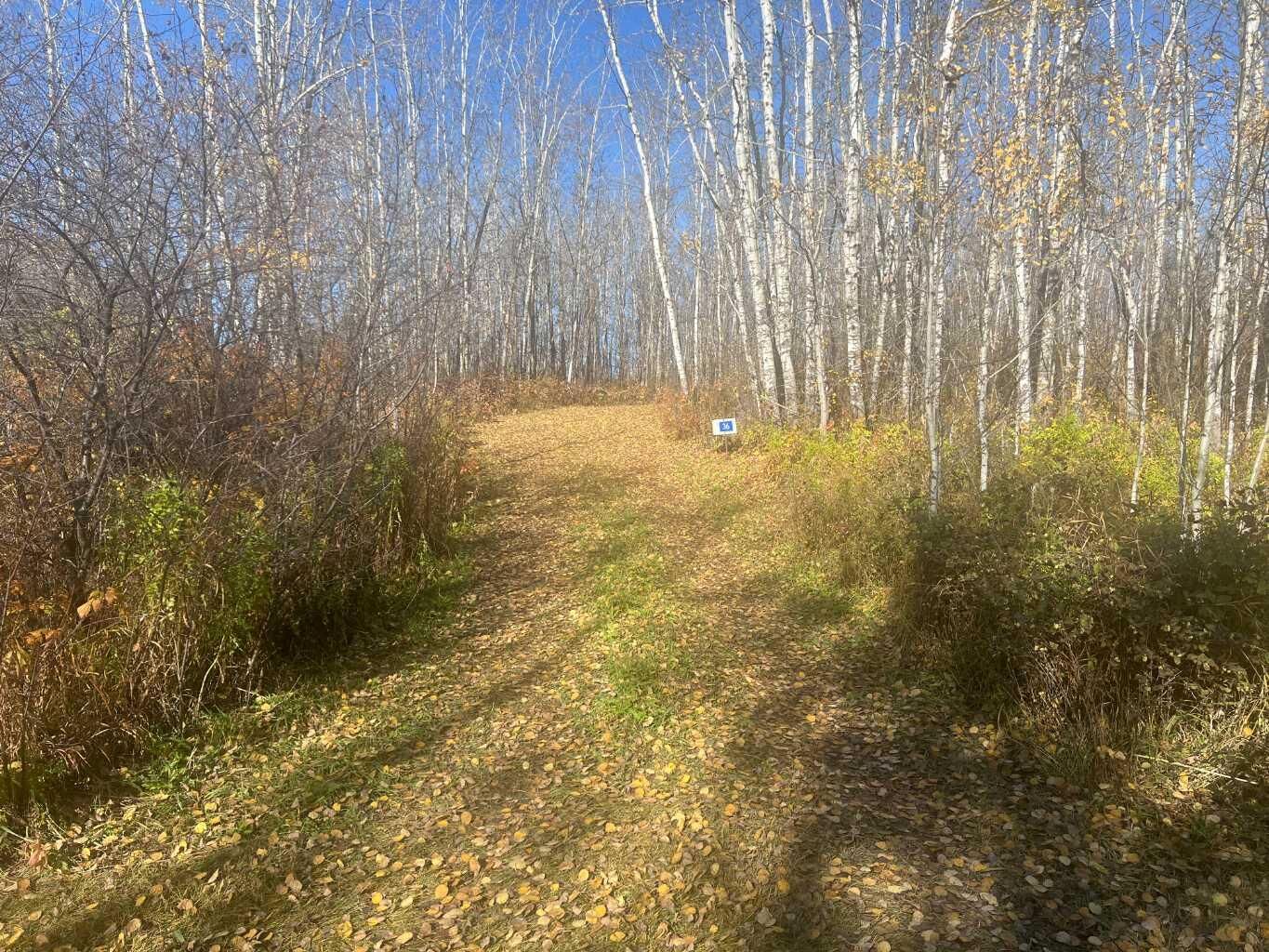 Property Photo:  50408 Range Road 203 36  AB T0B 4J2 