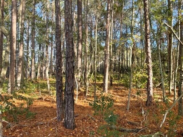 Property Photo:  0 Old Ocilla Road  GA 31794 