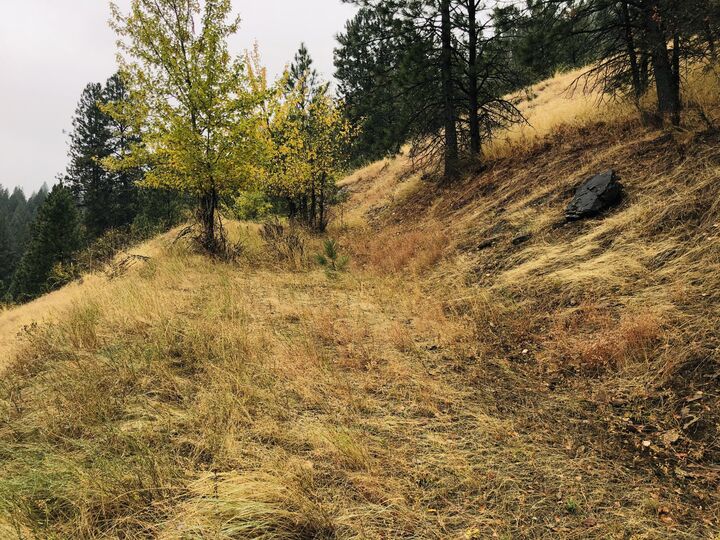 Property Photo:  Nka Round Lake Rd  ID 83861 