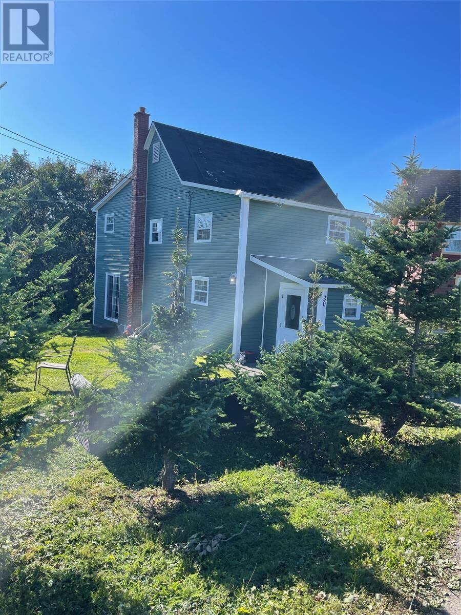 Property Photo:  20 Swyers Hill  NL A0C 1B0 