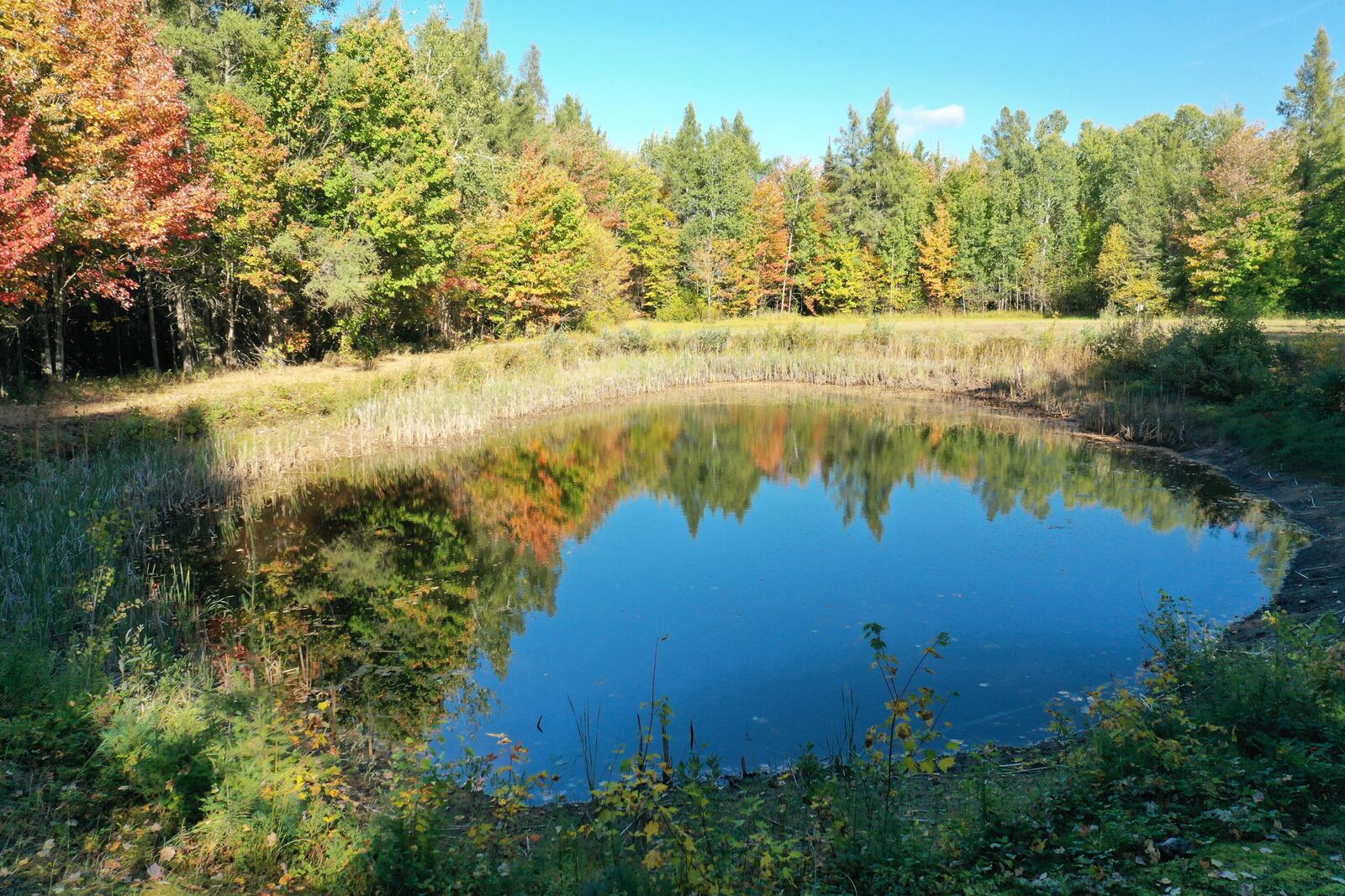 Property Photo:  Tbd E 8 Mile Rd  MI 49783 