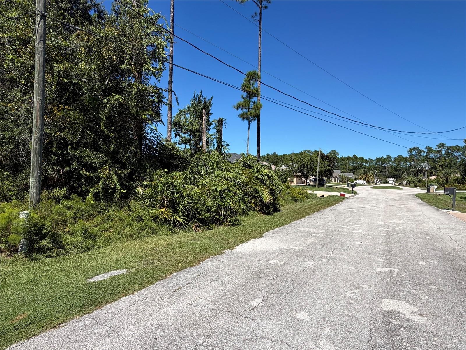 Property Photo:  49 Ebb Tide Drive  FL 32164 