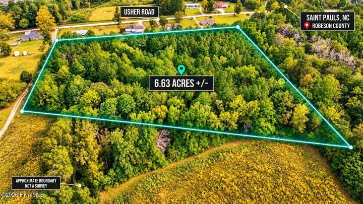 Property Photo: 0 Usher Road NC 28384